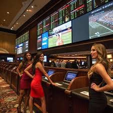Antarmuka aplikasi mobile resmi aduhoki77 untuk taruhan sportsbook dan kasino